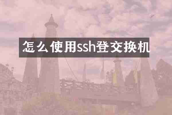 怎么使用ssh登交换机