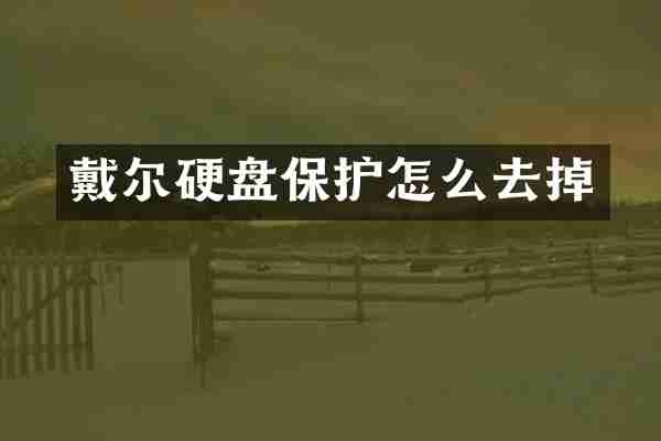 戴尔硬盘保护怎么去掉