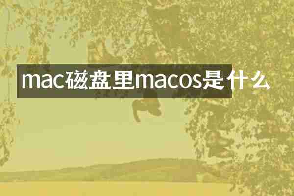 mac磁盘里macos是什么