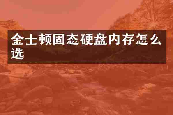 金士顿固态硬盘内存怎么选