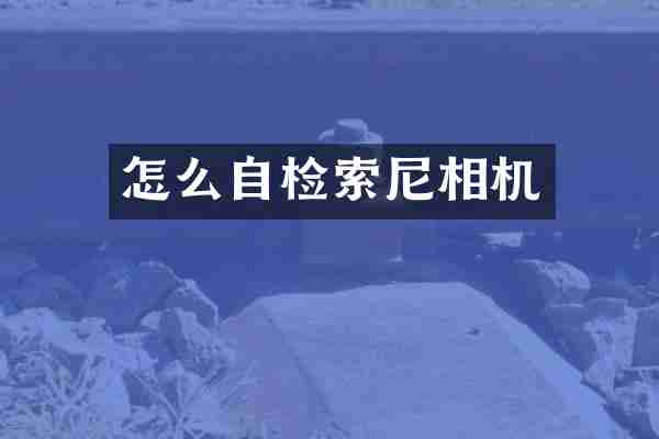 怎么自检索尼相机
