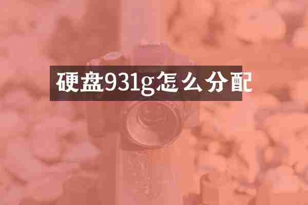 硬盘931g怎么分配
