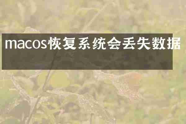 macos恢复系统会丢失数据吗