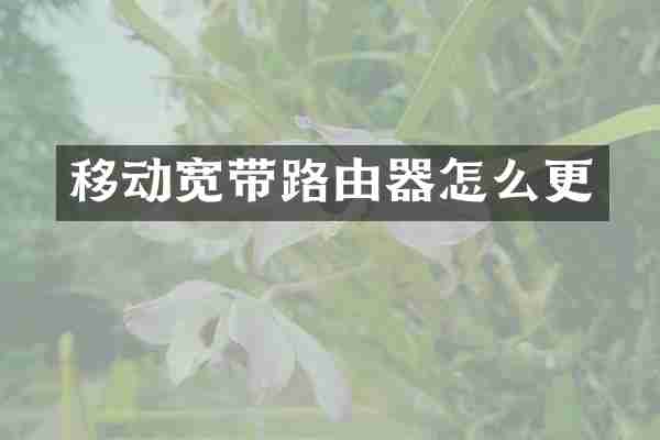 移动宽带路由器怎么更
