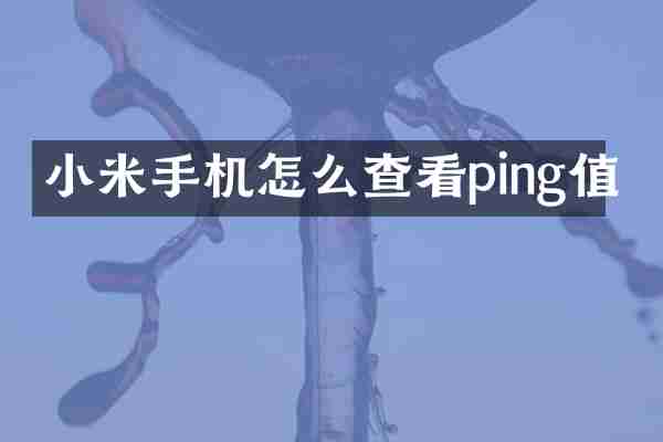 小米手机怎么查看ping值
