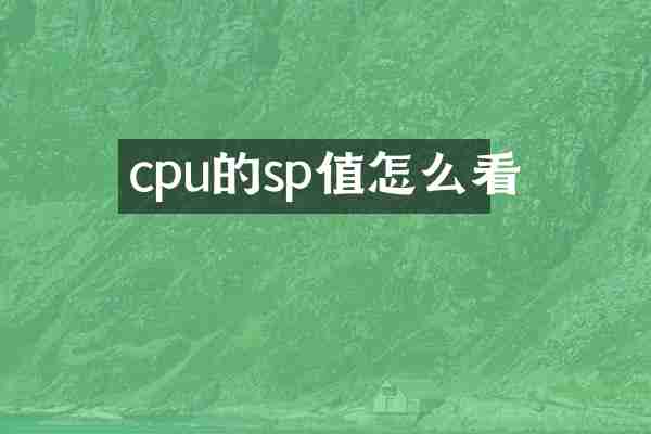 cpu的sp值怎么看