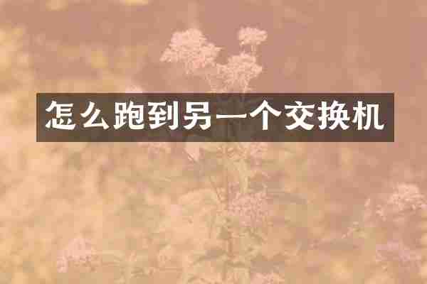 怎么跑到另一个交换机