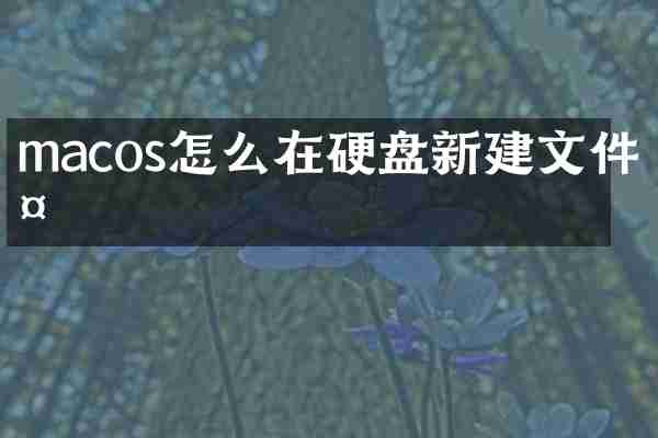 macos怎么在硬盘新建文件夹