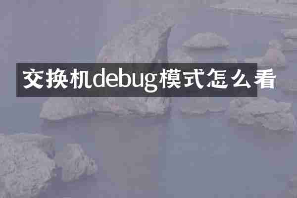 交换机debug模式怎么看