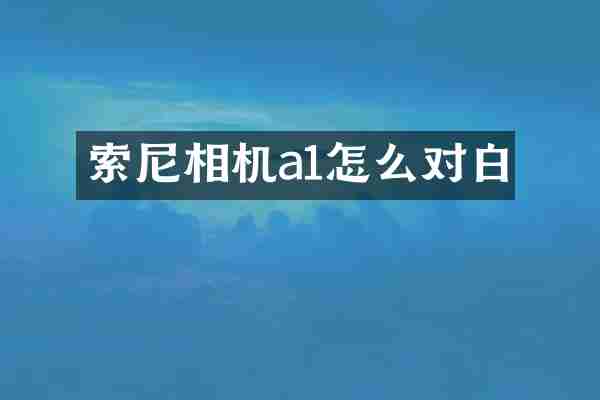 索尼相机a1怎么对白