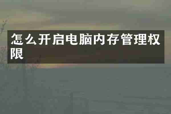 怎么开启电脑内存管理权限