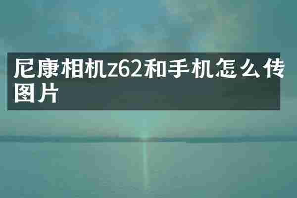 尼康相机z62和手机怎么传图片