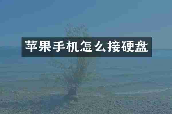 苹果手机怎么接硬盘