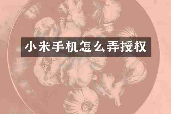 小米手机怎么弄授权
