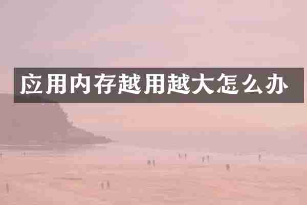 应用内存越用越大怎么办