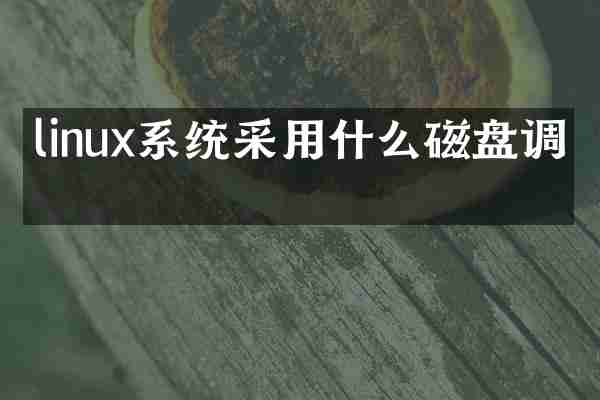 linux系统采用什么磁盘调度