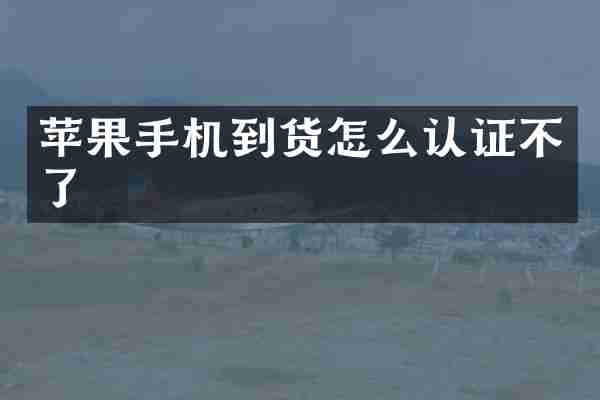苹果手机到货怎么认证不了