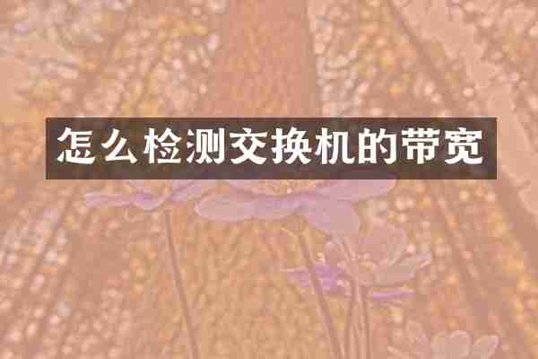 怎么检测交换机的带宽