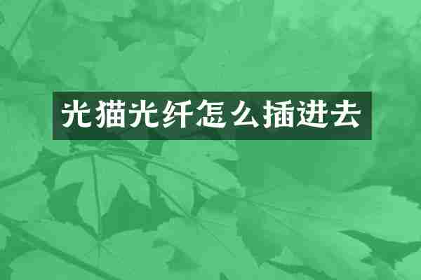 光猫光纤怎么插进去