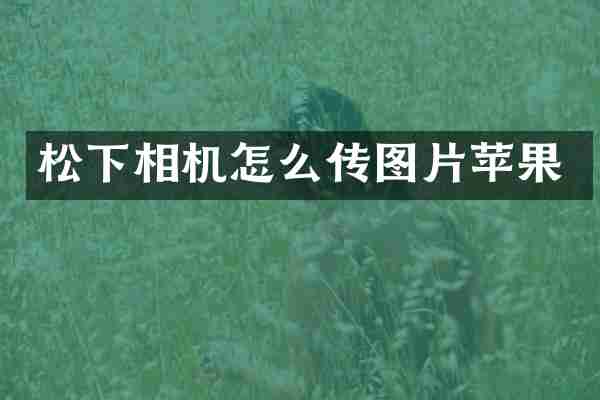 松下相机怎么传图片苹果