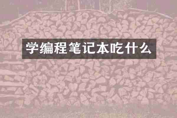 学编程笔记本吃什么