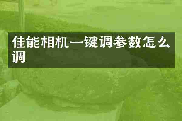 佳能相机一键调参数怎么调