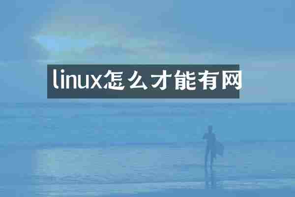 linux怎么才能有网