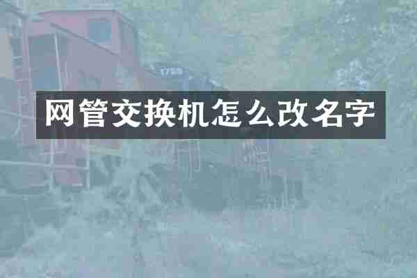 网管交换机怎么改名字
