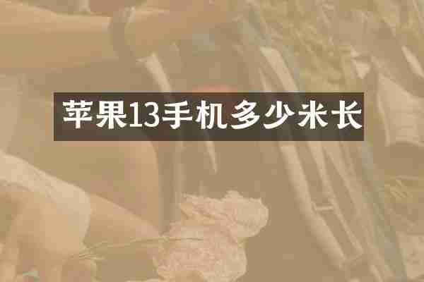 苹果13手机多少米长