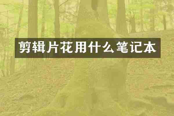 剪辑片花用什么笔记本