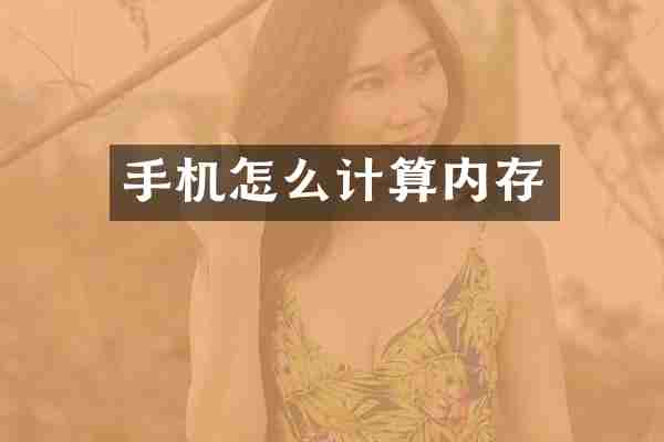 手机怎么计算内存