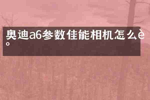 奥迪a6参数佳能相机怎么调