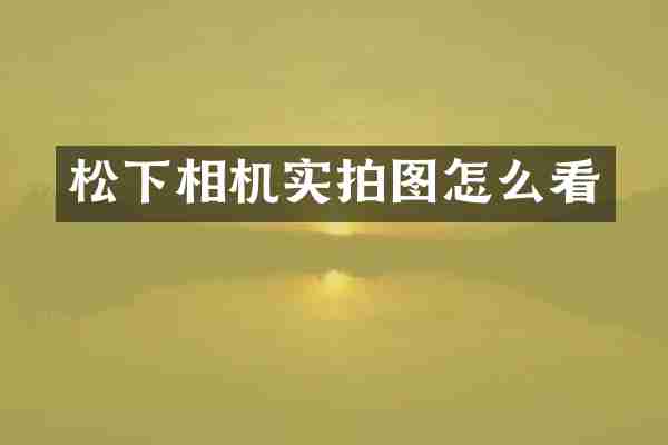 松下相机实拍图怎么看