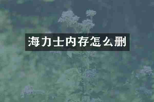 海力士内存怎么删