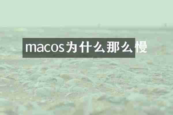 macos为什么那么慢