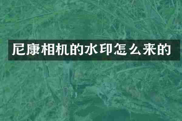尼康相机的水印怎么来的