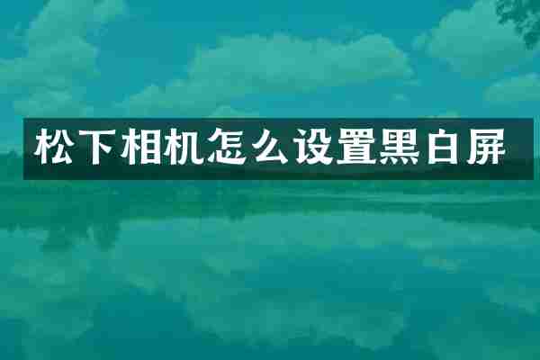 相机怎么设置黑白屏