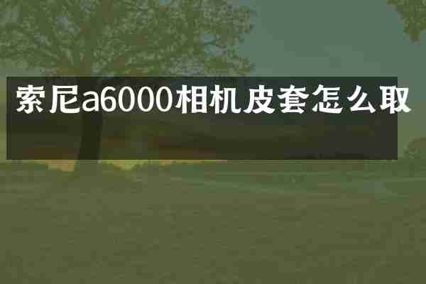 a6000相机皮套怎么取下