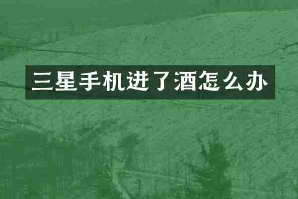 三星手机进了酒怎么办
