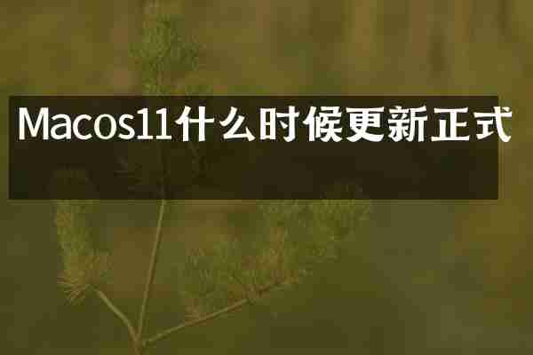 Macos11什么时候更新正式版