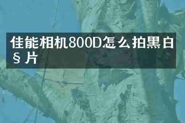 佳能相机800D怎么拍黑白照片