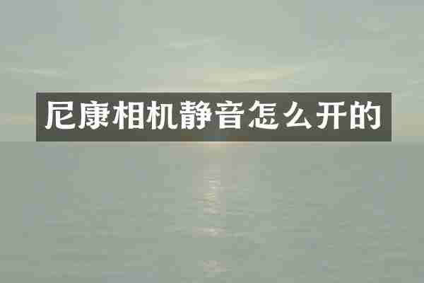 尼康相机静音怎么开的