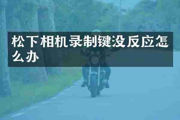 松下相机录制键没反应怎么办