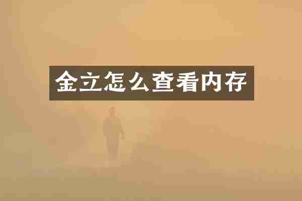 金立怎么查看内存
