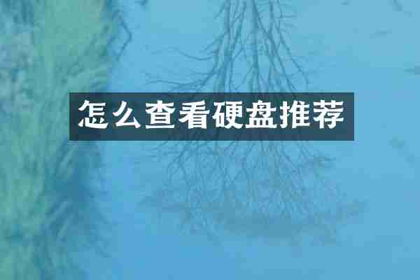 怎么查看硬盘推荐