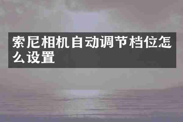 索尼相机自动调节档位怎么设置