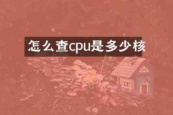 怎么查cpu是多少核