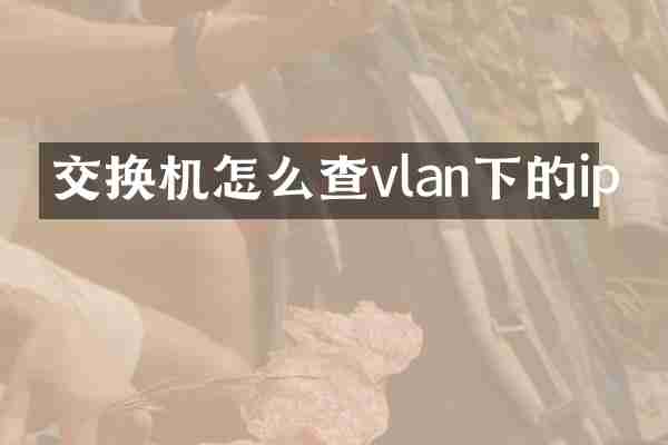 交换机怎么查vlan下的ip