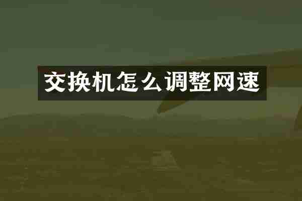 交换机怎么调整网速