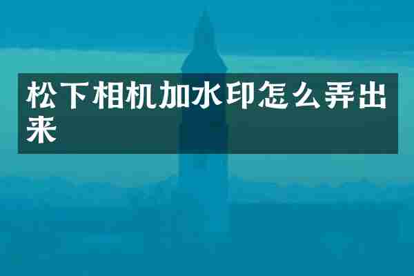 松下相机加水印怎么弄出来